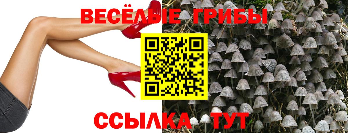 Бузулук  Псилоцибиновые грибы Magic Shrooms  купить наркотик  Вход с VPN 